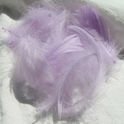 สีม่วงอ่อนสดใส