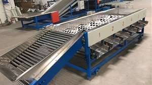 Macchina di smistamento della patata a basso prezzo automatico di selezione della frutta per smistamento del pomodoro di frutta
