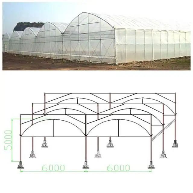 Estrutura de Aço Galvanizado barato poli filme PE Estufa Estufa De Plástico para Legumes