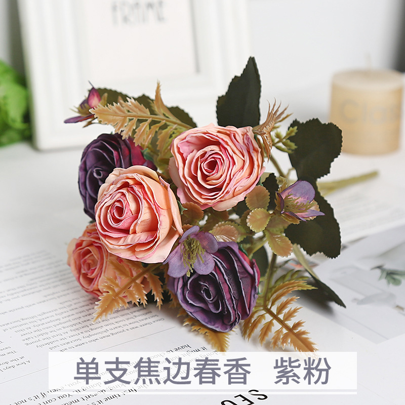 Poudre pourpre simple de chunxiang de bord de coke