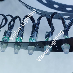 12mm <strong>LED</strong> <strong>String</strong> Full Color Waterproof IP68 Point WS2811IC <strong>LED</strong> <strong>RGB</strong> Mould <strong>Pixel</strong> <strong>Led</strong> Light - Product Image 6