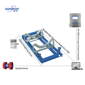 Sistema de báscula de cinta transportadora con alta precisión y Corrección automática - Product Image 6