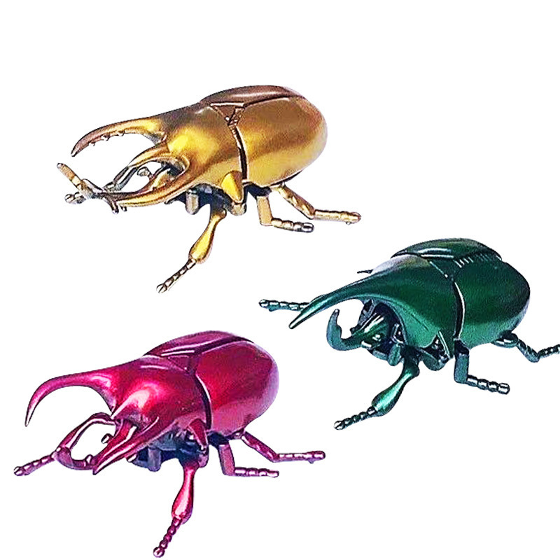 beetle tricolor family barrel-golden green red