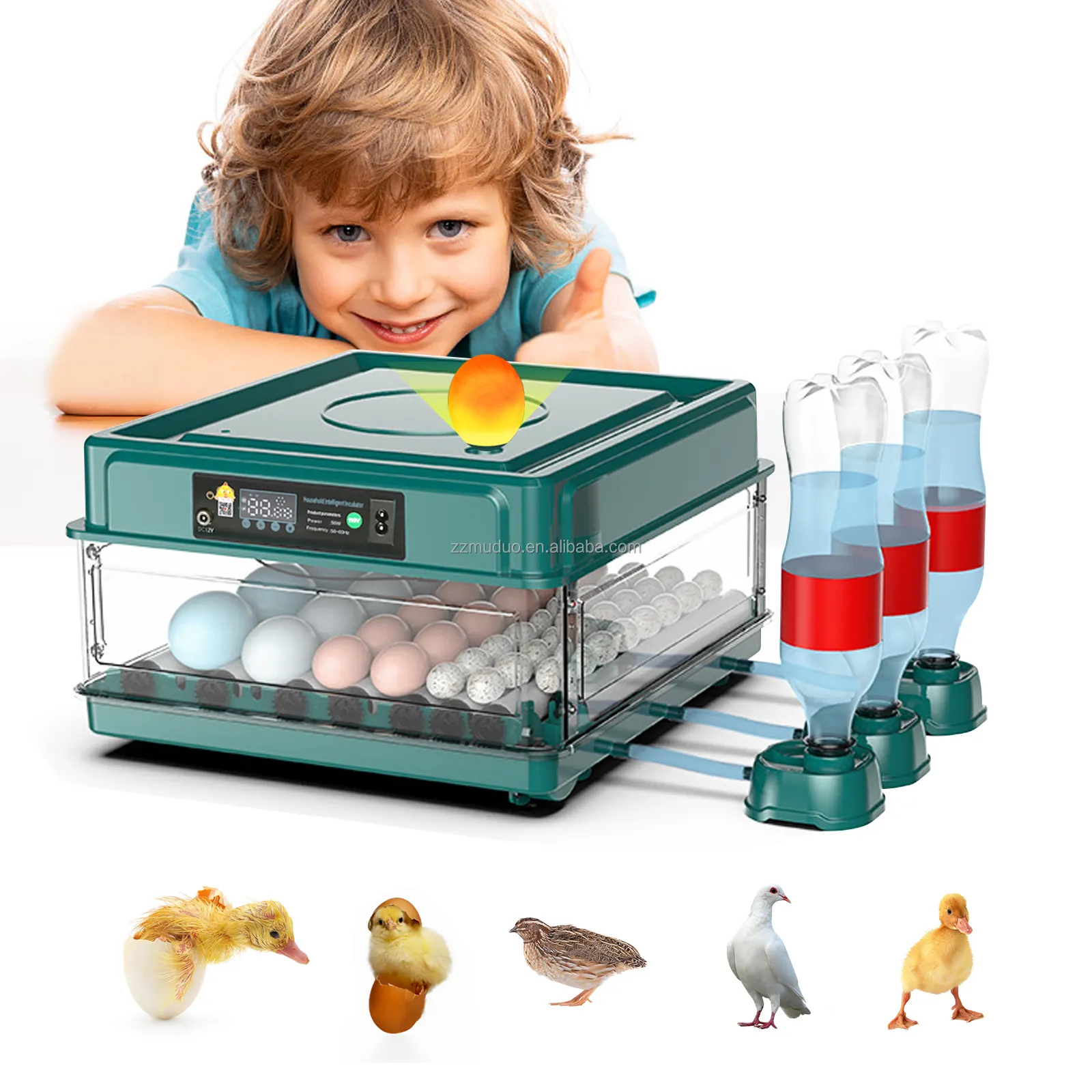 12 яиц куриный инкубатор и инкубатор для домашней птицы инкубаторы полностью автоматические инкубаторы для яиц
