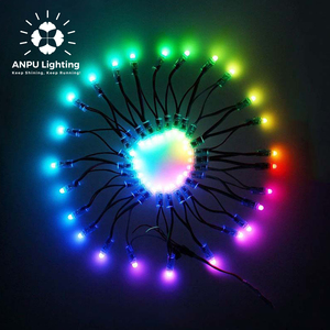 Professional Manufacture WS2811programmable 12mm RGB Full Color <strong>LED</strong> Module Light <strong>LED</strong> Pixel String DC5V Input 50pcs/string IP68 - Product Image 2