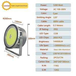 <span class=keywords><strong>1200w</strong></span> cob הוביל אורות דיג על המים, למשוך דיונון ודגים מעל המים - Product Image 2