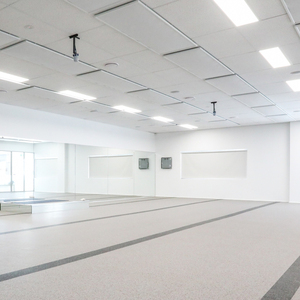 900w Wall Ceiling Mounted Flat Room Home Hot Yoga <strong>Far</strong> Infrared <strong>IR</strong> Radiator Carbon Crystal <strong>Heater</strong> - Product Image 4