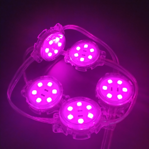 Top quality colore variabile led pixel 12v punto luce con IC 1903 programmazione WS2801 RGB modulo led pixel