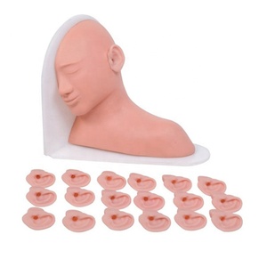 İnsan kulak muayene modeli tıbbi öğretim eğitimi anatomik Model tıbbi eğitim simülatörleri - Product Image 1