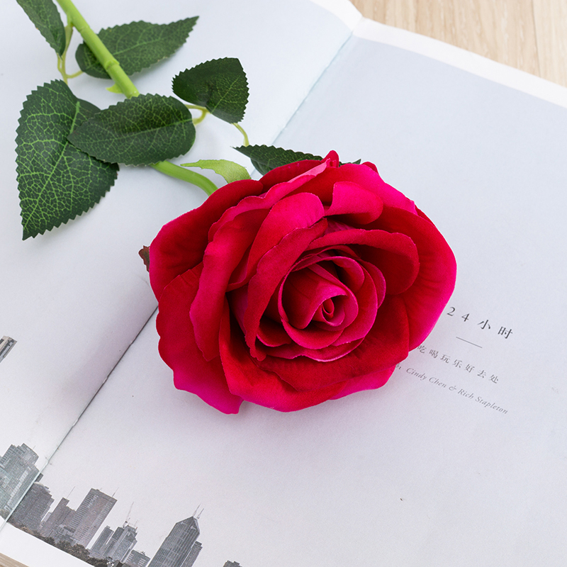 Rose Madder