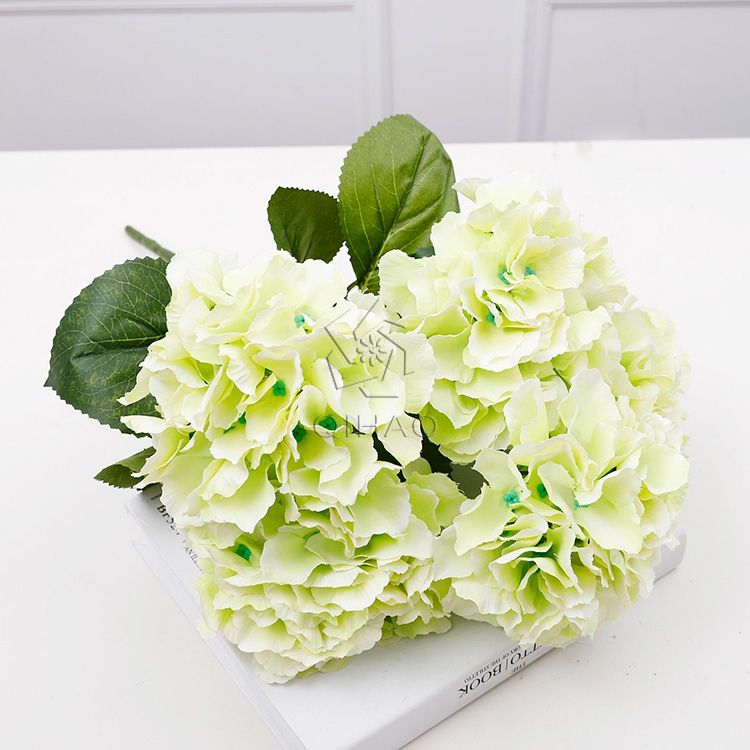 สีเขียว