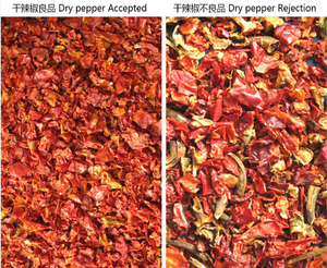 Wenyao Indonesia Color peperoncino Sorter cintura tipo essiccato macchina di smistamento al peperoncino con sensore CCD a colori funzione remota della fotocamera - Product Image 6