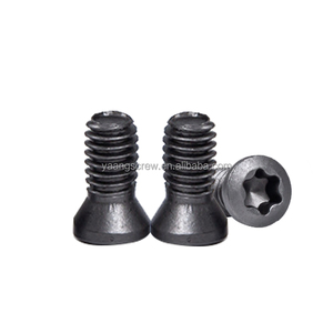 Inserire il grado di vite in carburo 12.9 lega di acciaio inossidabile M2 M2, 5 M3 M4 M5 M6 tornio barra utensile per tornio inserto CNC vite Torx - Product Image 6