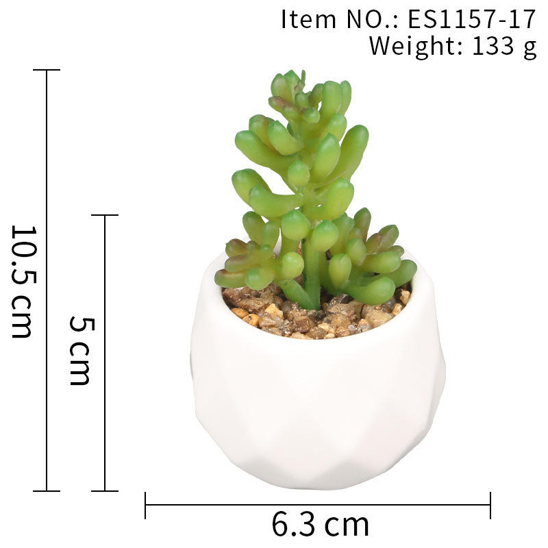 Es1157-17 : la fin de la guerre