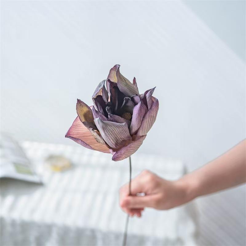 Artificial-stem Sharp-petaled Lotus