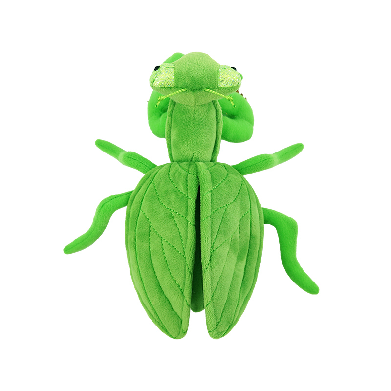 Mantis
