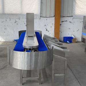 Máquina multiusos para clasificar verduras, frutas, aguacate, Limón - Product Image 6