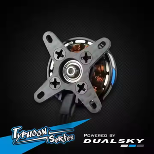 DualSky XM2305TYタイフーンシリーズ3D4D屋内屋外リモコン電気模型カメラ付きF3Pファンシースタントフライング - Product Image 4
