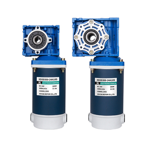 制造商出售12V24V DC蜗轮电机60W90W120W200W300W有刷电机可定制 - Product Image 3