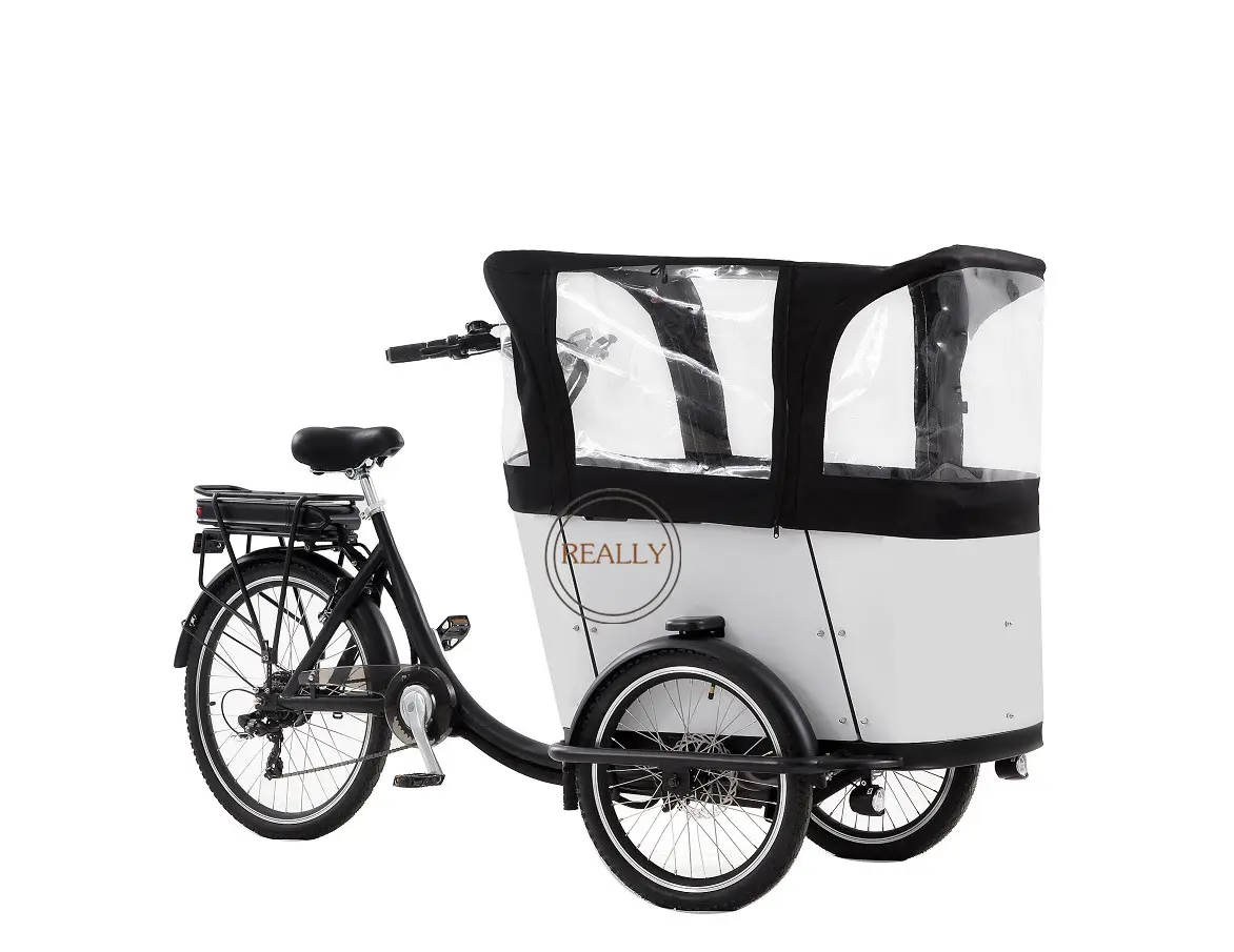 2024 New Coming Front Loading 3 Wheel Electric Tricycle Transport Adult Tricycle With Wood Case Electric Bike Cargo Trailer
