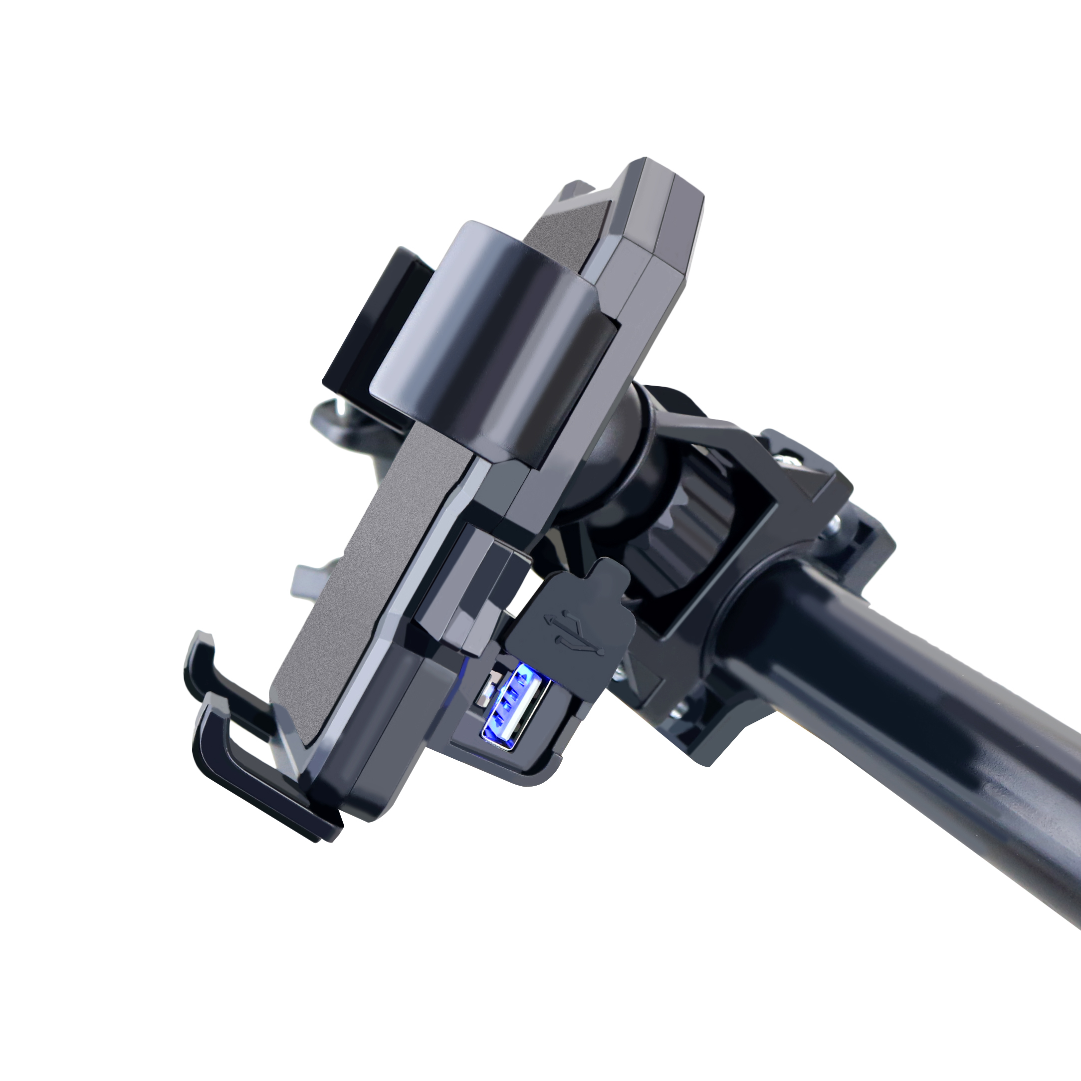 Both Mount with Charger
