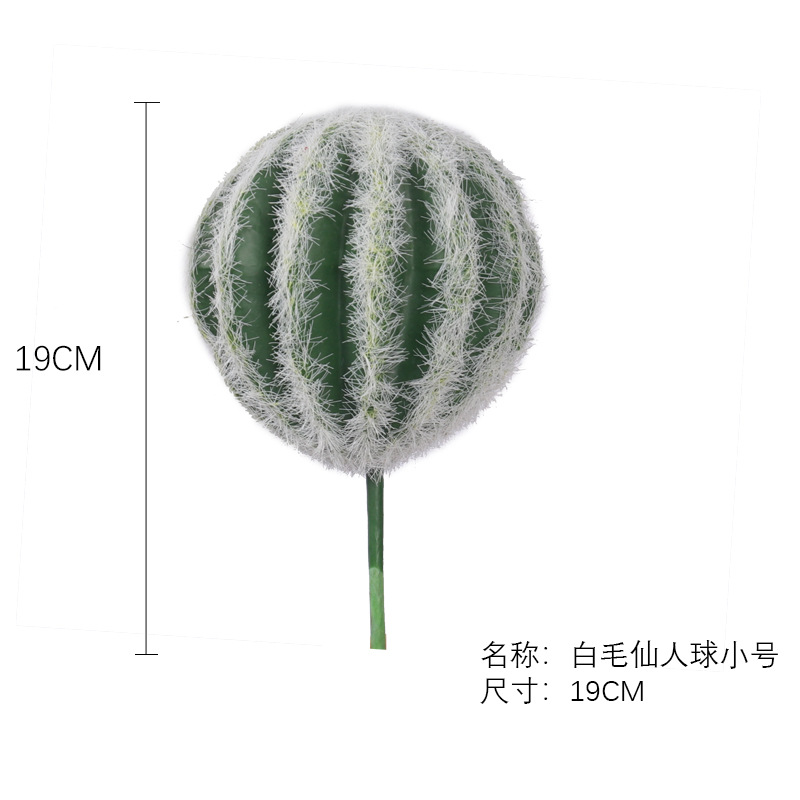 Référence : SKU-03