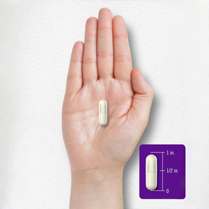 Hot bán Cung cấp đông khô Detox Lactobacillus reuteri plantarum nữ bổ sung Probiotics âm đạo viên nang cho phụ nữ - Product Image 5