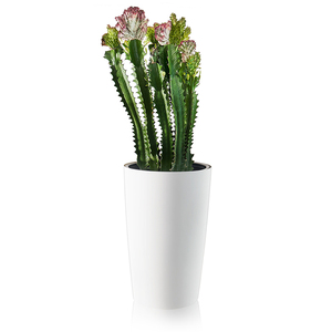 Large Self Watering <strong>Planters</strong> for Floor <strong>Planter</strong>-Flower Pot with Water Level Indicator Plant Pot. - Product Image 6