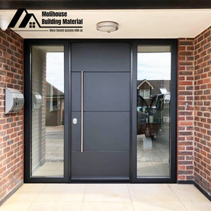 Görkemli entryway tabloları dijital akıllı giriş sistemi kasırga dayanıklı güvenlik pivot kapı - Product Image 6