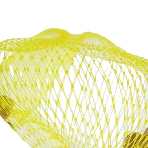 Active Demand Saving Space Pe Netting Bag Mesh para proteção de ovos