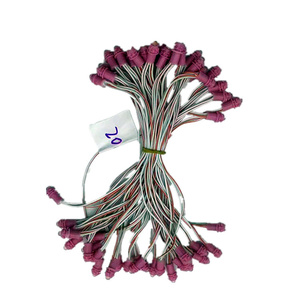 Vendita diretta in fabbrica impermeabile monocolore 50 Leds15cm DC 12v 9mm Led Pixel String Light led module hot - Product Image 3