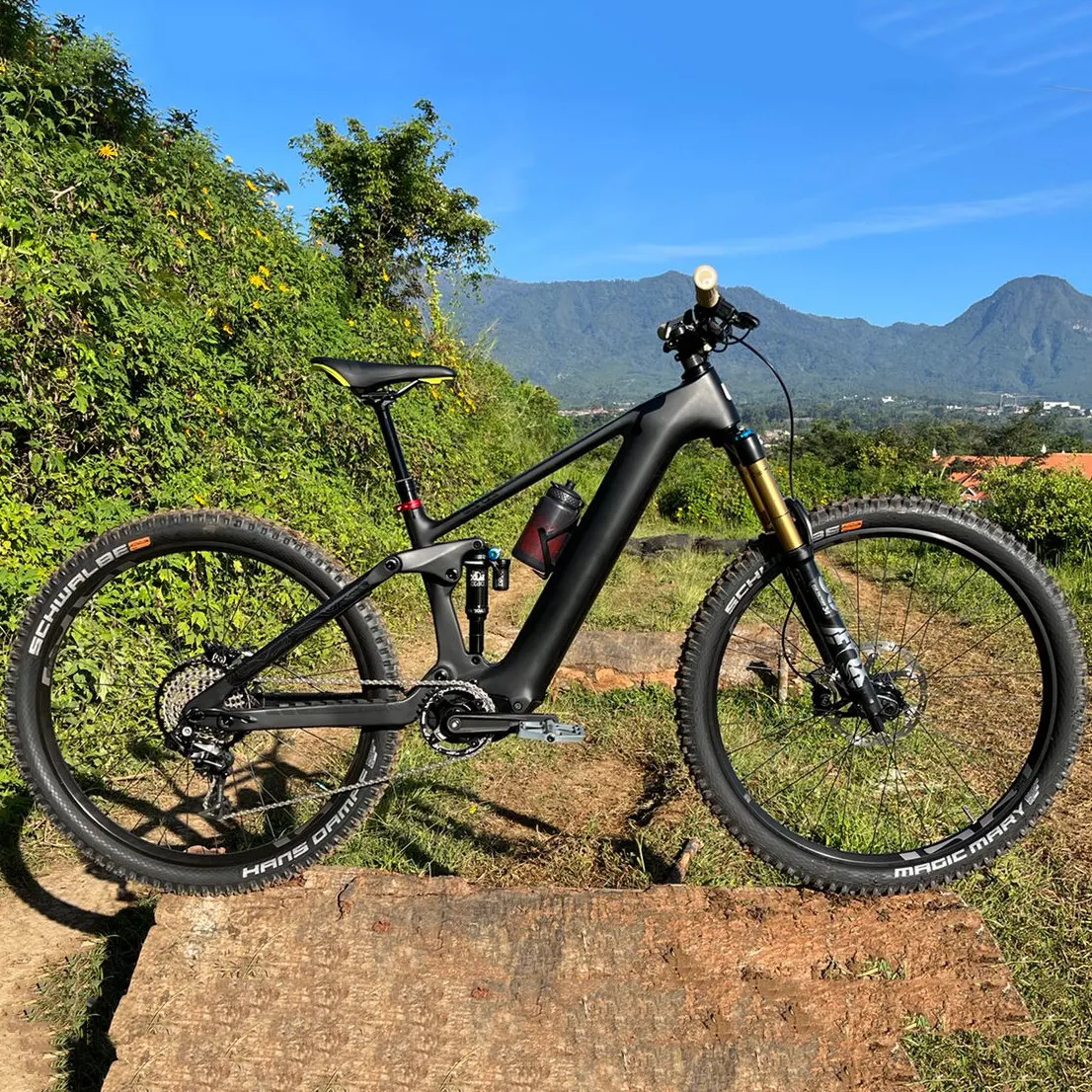 Sepeda listrik serat karbon Tiongkok 4 daun, sepeda E sepeda gunung Montana eMTB M820 e-bike 29 inci