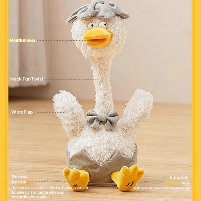 Canard Gaga