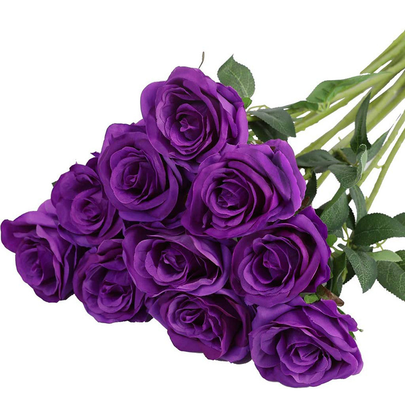 Pourpre