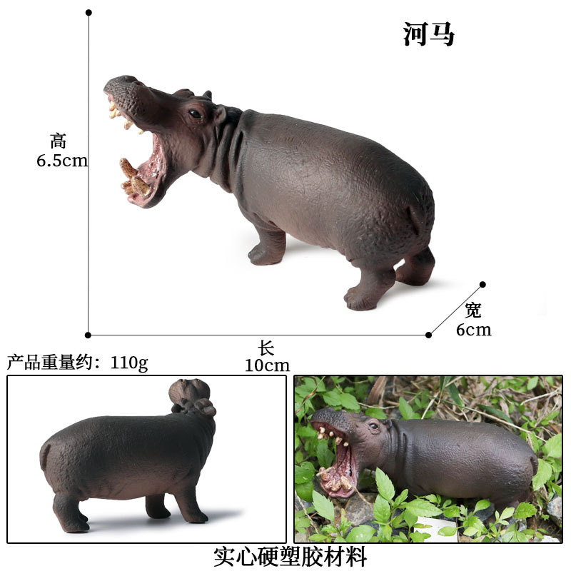 Hippo