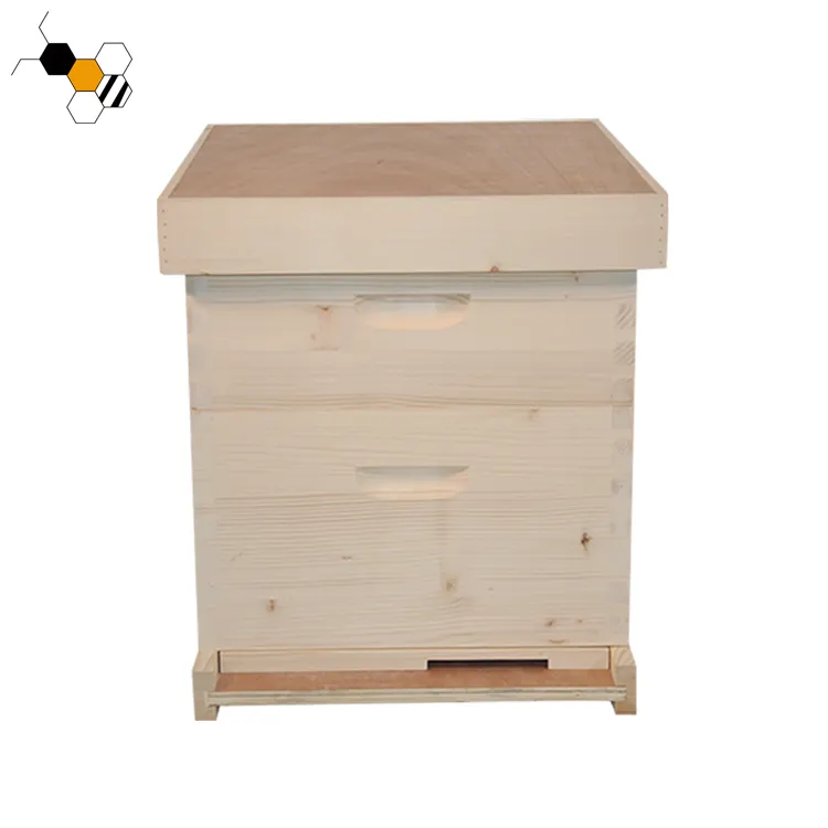 Nuovo Prodotto Apiario di Legno di Massa Langstroth Alveare per le api