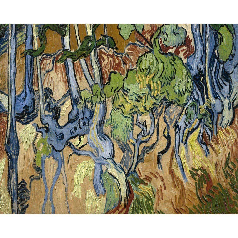 Racines d'arbre