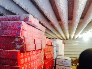 Refrigerated Equipment Container Modular Walk in Cooler <strong>Chiller</strong> Mini Small Mobile Cold Blast Freezer Room for Meat - Product Image 4