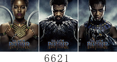 6621