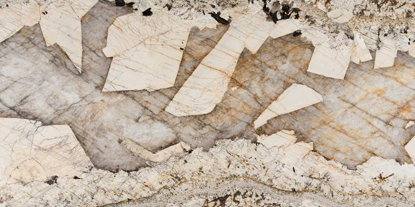 ปาตาโกเนียสีขาว