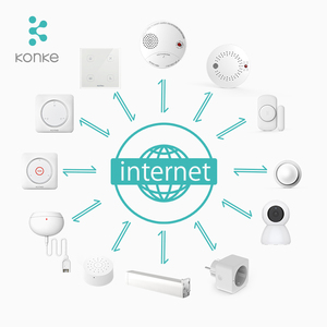 IOT Smart Home Hub HA 3,0 Zigbee Gateway Smart Home System - Product Image 2