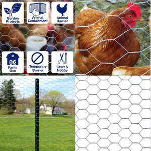 Verzinkte Eisenzaun Geflügel netz Sechseckige Drahtgitter rolle für Huhn - Product Image 6