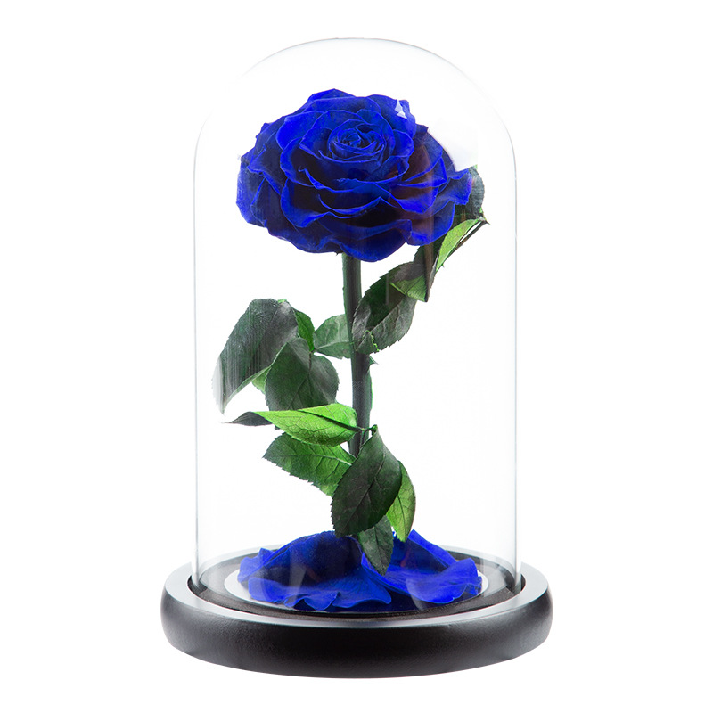 Azul real