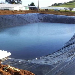 Yeni malzemeler ile en kaliteli fabrika yapımı HDPE geomembran 0.2mm-3.0mm gölet Liner - Product Image 2