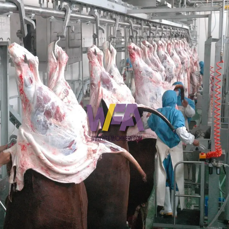 WFA cina produttore di macelli mucca impianto di trasformazione linea di trasporto ferroviario di linea di bestiame macello