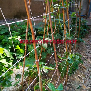 Maglia morbida e facile dell'installazione di sostegno del traliccio di sostegno della pianta del poliestere premio per l'agricoltura - Product Image 4