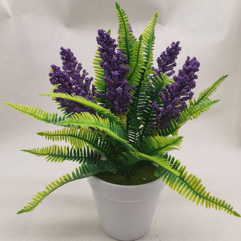Violet foncé