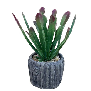 Wholesale Sale Of Ceramic <strong>Pot</strong> Artificial Succulent <strong>Garden</strong> Decoration Maifan <strong>Stone</strong> For Succulent Plant ZR5032 - Product Image 1