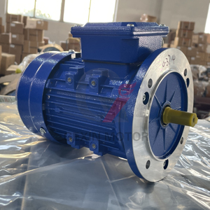 Ye2 Series 7.5kw 10HP tiga fase asinkron tupai Ca induksi <span class=keywords><strong>Motor</strong></span> listrik efisiensi tinggi kebisingan rendah 110V AC Volta 50Hz - Product Image 2