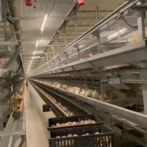 Yeni durum tavuk kümesi çelik çerçeve Broiler çiftlik için prefabrik kanatlı ev tasarımı h-tipi otomatik ev tavuk